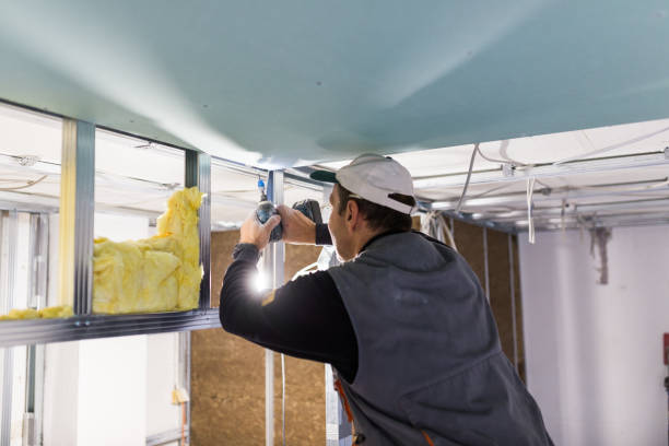 Best Insulation for Specific Applications in Wailea, HI
