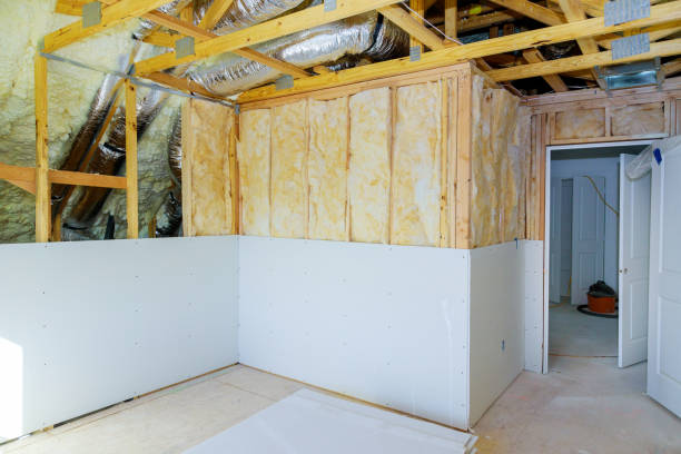Best Types of Insulation in Wailea, HI