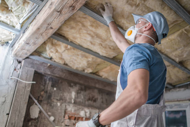 Best Insulation Maintenance and Repair in Wailea, HI