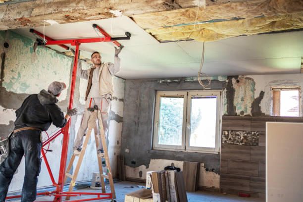 Best Residential Insulation in Wailea, HI