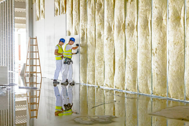 Best Insulation for Specific Applications in Wailea, HI